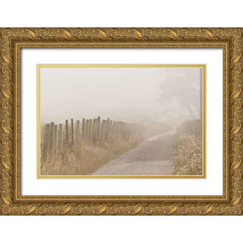 Usa-California Fog blankets this driveway at Point Reyes Gold Ornate Wood Framed Art Print with Double Matting by Sederquist, Betty