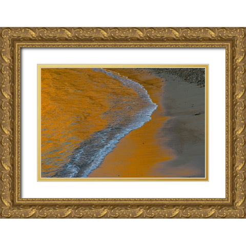 Usa-California The headlands of Point Reyes Gold Ornate Wood Framed Art Print with Double Matting by Sederquist, Betty