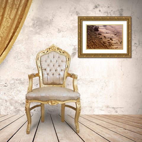 Usa-California The headlands of Point Reyes Gold Ornate Wood Framed Art Print with Double Matting by Sederquist, Betty