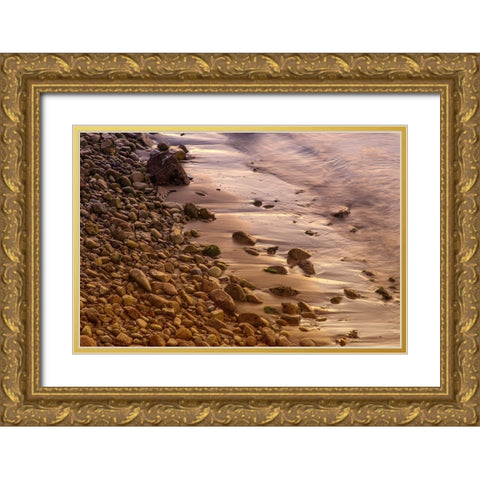 Usa-California The headlands of Point Reyes Gold Ornate Wood Framed Art Print with Double Matting by Sederquist, Betty