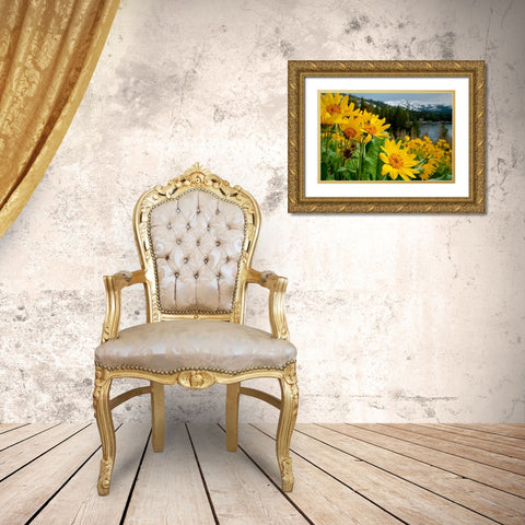 Summer-mule ear flowers flourish along the edges of Caples Lake in the Carson Pass area Gold Ornate Wood Framed Art Print with Double Matting by Sederquist, Betty