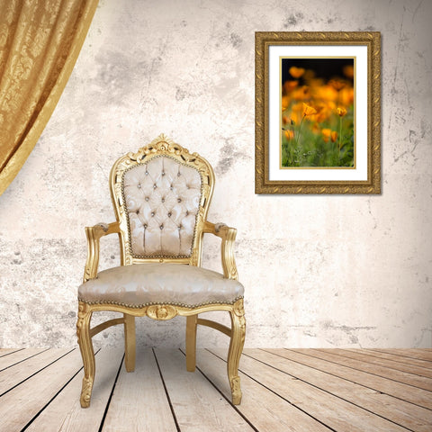California poppies Gold Ornate Wood Framed Art Print with Double Matting by Sederquist, Betty
