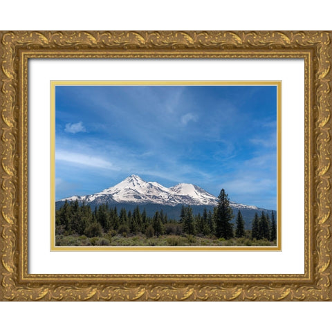 Mt. Shasta the tallest volcano in California. Gold Ornate Wood Framed Art Print with Double Matting by Sederquist, Betty