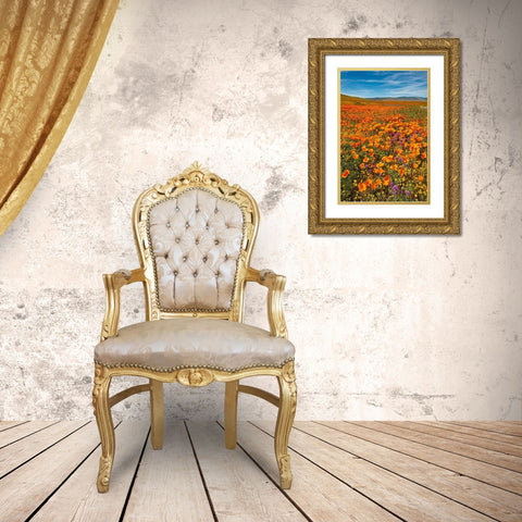California-Owls Clover-Goldfields and California poppies on hillside near Lancaster-California Gold Ornate Wood Framed Art Print with Double Matting by Garber, Howie