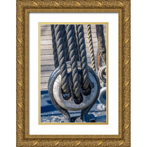 Tarred Nautical rope and pulley-San Francisco-California-USA Gold Ornate Wood Framed Art Print with Double Matting by Engelbrecht, Jim
