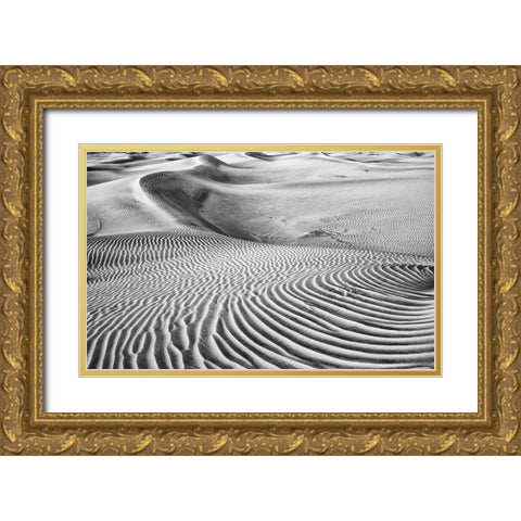 Dune Abstract-Death Valley Gold Ornate Wood Framed Art Print with Double Matting by Ford, John