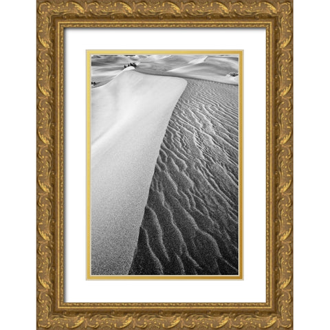 Dune Abstract-Death Valley Gold Ornate Wood Framed Art Print with Double Matting by Ford, John