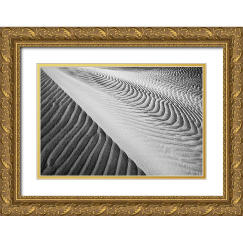 Dune Abstract-Death Valley Gold Ornate Wood Framed Art Print with Double Matting by Ford, John