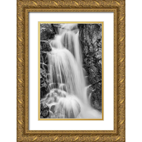 Wildcat Falls-Yosemite Gold Ornate Wood Framed Art Print with Double Matting by Ford, John
