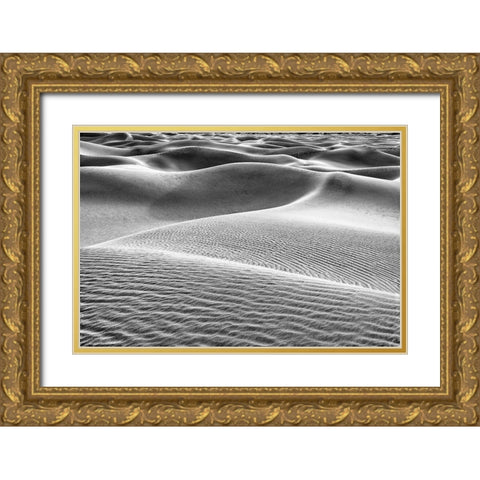 Mesquite Dunes-Death Valley National Park-California Gold Ornate Wood Framed Art Print with Double Matting by Ford, John