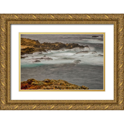 Point Lobos-Carmel-California Gold Ornate Wood Framed Art Print with Double Matting by Ford, John
