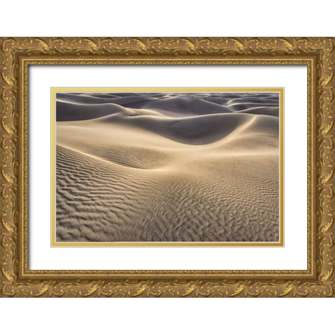 Mesquite Dunes-Death Valley National Park-California Gold Ornate Wood Framed Art Print with Double Matting by Ford, John
