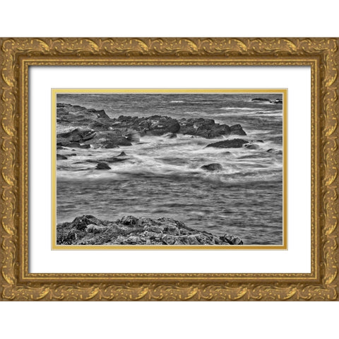Point Lobos-Carmel-California Gold Ornate Wood Framed Art Print with Double Matting by Ford, John