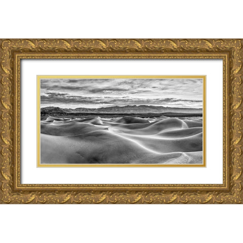 Mesquite Dunes-Death Valley National Park-California Gold Ornate Wood Framed Art Print with Double Matting by Ford, John