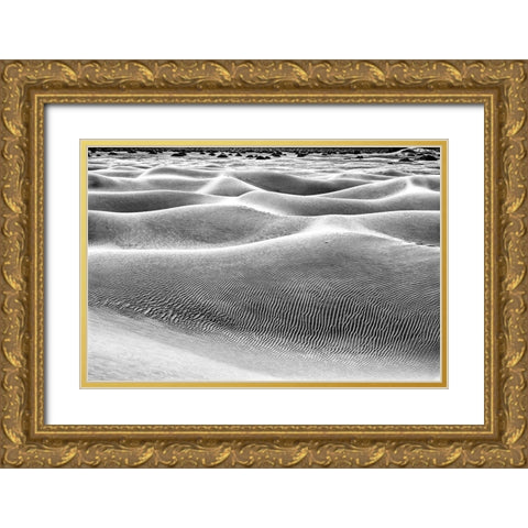 Mesquite Dunes-Death Valley National Park-California Gold Ornate Wood Framed Art Print with Double Matting by Ford, John