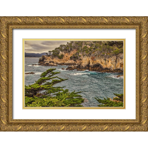 Point Lobos-Carmel-California Gold Ornate Wood Framed Art Print with Double Matting by Ford, John