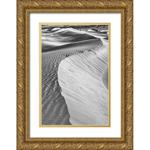 Mesquite Dunes-Death Valley National Park-California Gold Ornate Wood Framed Art Print with Double Matting by Ford, John