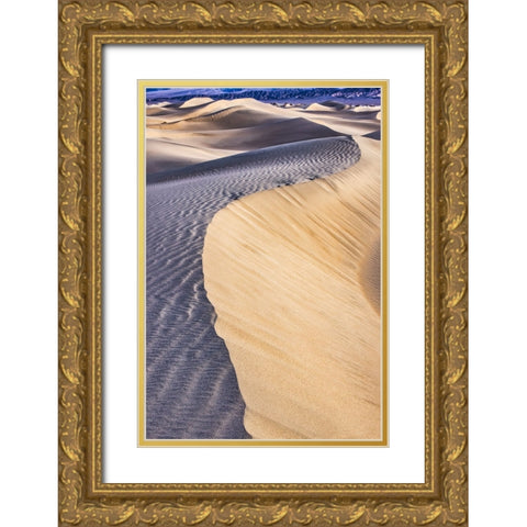 Mesquite Dunes-Death Valley National Park-California Gold Ornate Wood Framed Art Print with Double Matting by Ford, John