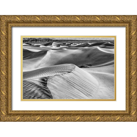 Mesquite Dunes-Death Valley National Park-California Gold Ornate Wood Framed Art Print with Double Matting by Ford, John