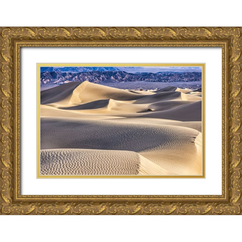 Mesquite Dunes-Death Valley National Park-California Gold Ornate Wood Framed Art Print with Double Matting by Ford, John