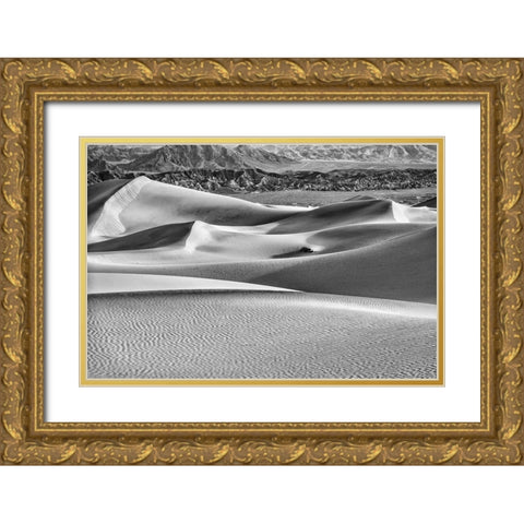 Mesquite Dunes-Death Valley National Park-California Gold Ornate Wood Framed Art Print with Double Matting by Ford, John