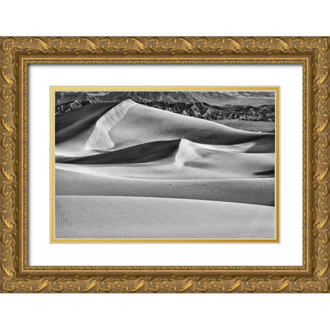 Mesquite Dunes-Death Valley National Park-California Gold Ornate Wood Framed Art Print with Double Matting by Ford, John