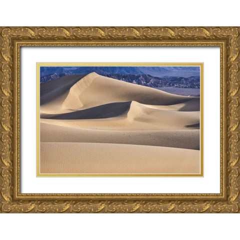 Mesquite Dunes-Death Valley National Park-California Gold Ornate Wood Framed Art Print with Double Matting by Ford, John