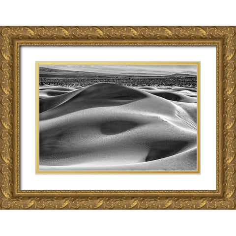 Mesquite Dunes-Death Valley National Park-California Gold Ornate Wood Framed Art Print with Double Matting by Ford, John