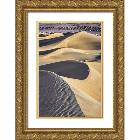 Mesquite Dunes-Death Valley National Park-California Gold Ornate Wood Framed Art Print with Double Matting by Ford, John