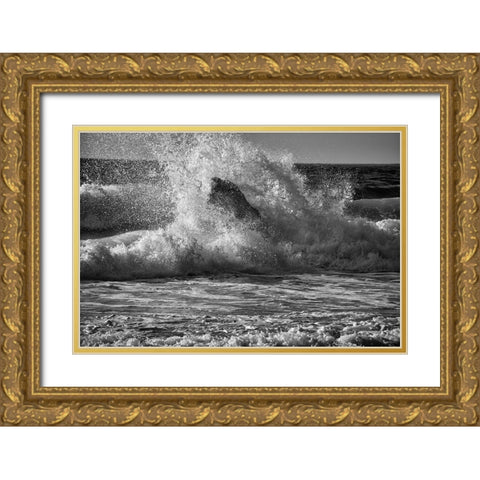 Garapata Beach-Carmel by the Sea-California Gold Ornate Wood Framed Art Print with Double Matting by Ford, John