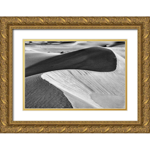 Mesquite Dunes-Death Valley National Park-California Gold Ornate Wood Framed Art Print with Double Matting by Ford, John