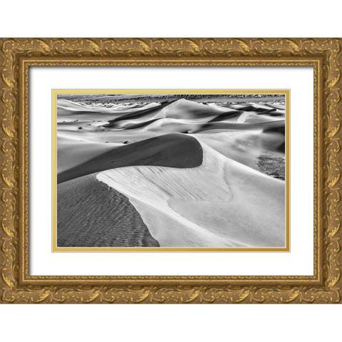 Mesquite Dunes-Death Valley National Park-California Gold Ornate Wood Framed Art Print with Double Matting by Ford, John