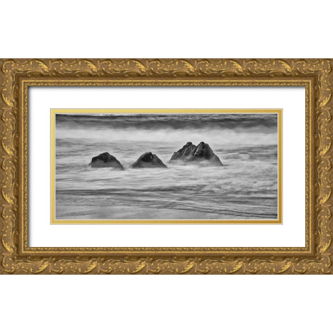 Garapata Beach-Carmel by the Sea-California Gold Ornate Wood Framed Art Print with Double Matting by Ford, John