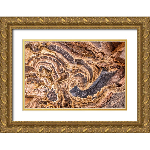 Marble Abstract-Titus Canyon-Death Valley Gold Ornate Wood Framed Art Print with Double Matting by Ford, John