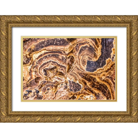 Marble Abstract-Titus Canyon-Death Valley Gold Ornate Wood Framed Art Print with Double Matting by Ford, John