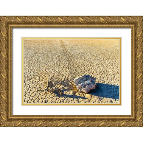 Race Track Rocks-Death Valley-California Gold Ornate Wood Framed Art Print with Double Matting by Ford, John