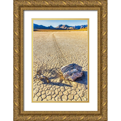 Race Track Rocks-Death Valley-California Gold Ornate Wood Framed Art Print with Double Matting by Ford, John