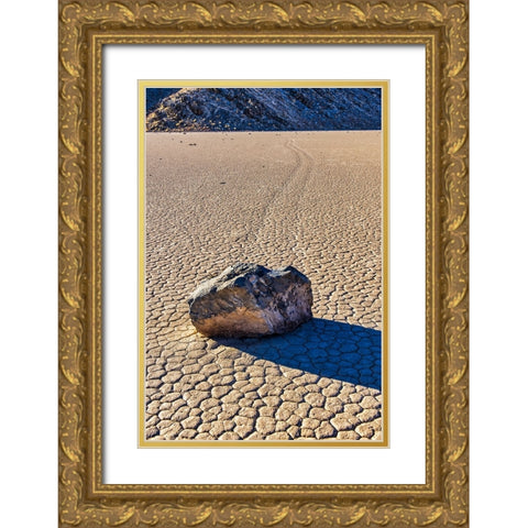 Race Track Rocks-Death Valley-California Gold Ornate Wood Framed Art Print with Double Matting by Ford, John