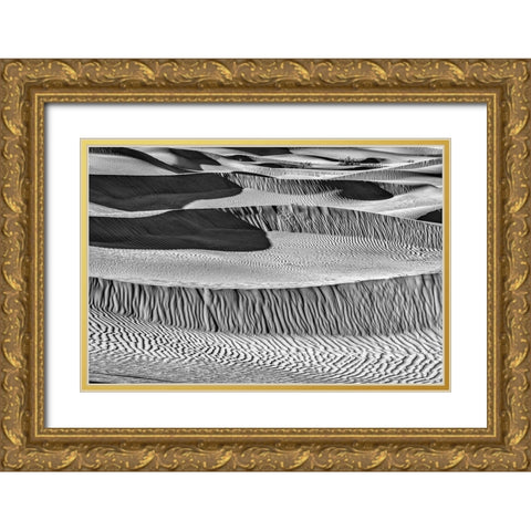 Mesquite Dunes-Death Valley National Park-California Gold Ornate Wood Framed Art Print with Double Matting by Ford, John