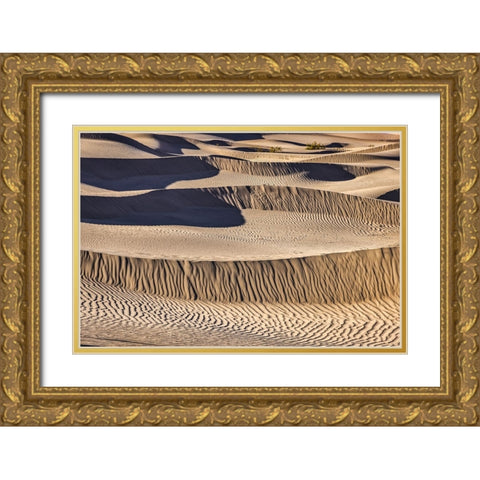 Mesquite Dunes-Death Valley National Park-California Gold Ornate Wood Framed Art Print with Double Matting by Ford, John