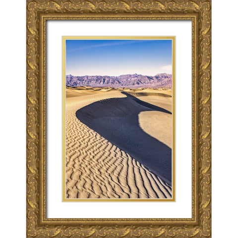 Mesquite Dunes-Death Valley National Park-California Gold Ornate Wood Framed Art Print with Double Matting by Ford, John