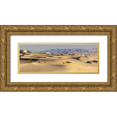Mesquite Dunes-Death Valley National Park-California Gold Ornate Wood Framed Art Print with Double Matting by Ford, John