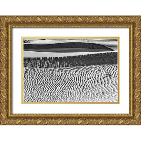 Mesquite Dunes-Death Valley National Park-California Gold Ornate Wood Framed Art Print with Double Matting by Ford, John