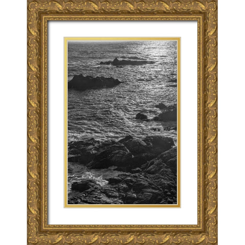 China Cove-Point Lobos-California Gold Ornate Wood Framed Art Print with Double Matting by Ford, John
