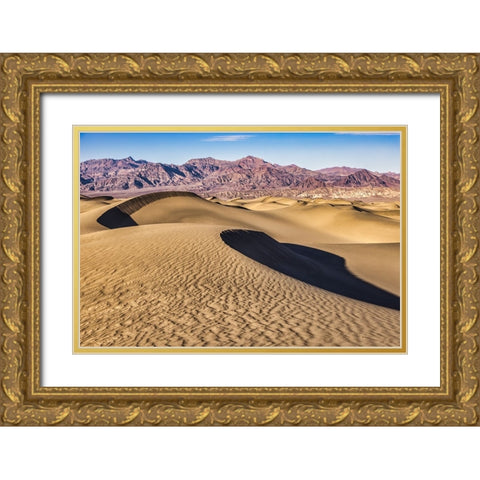 Mesquite Dunes-Death Valley National Park-California Gold Ornate Wood Framed Art Print with Double Matting by Ford, John