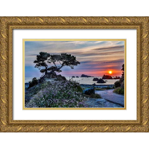 USA-California-Crescent City-Monterey Cypress Gold Ornate Wood Framed Art Print with Double Matting by Restuccia, Joe III
