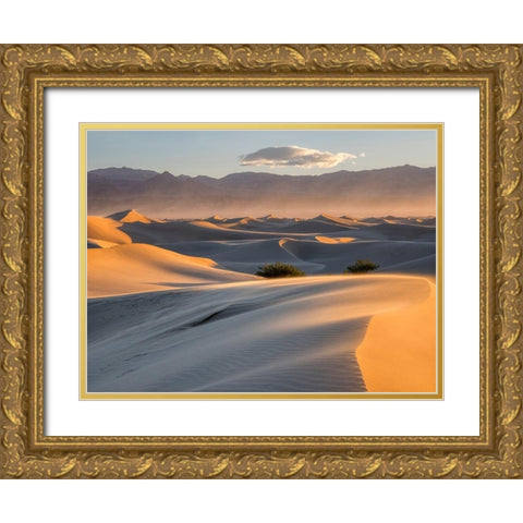 California Death Valley National Park-Mesquite Flat Sand Dunes Gold Ornate Wood Framed Art Print with Double Matting by Wild, Jamie and Judy