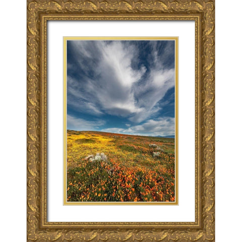 California Fields of California Poppy-Goldfields with clouds-Antelope Valley Gold Ornate Wood Framed Art Print with Double Matting by Zimmerman, Judith