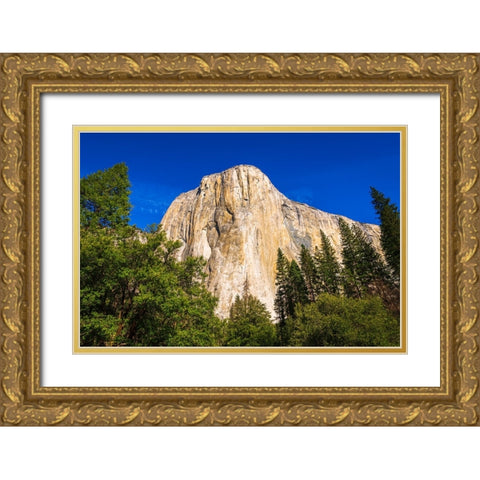 El Capitan-Yosemite Valley-Yosemite National Park-California-USA Gold Ornate Wood Framed Art Print with Double Matting by Bishop, Russ