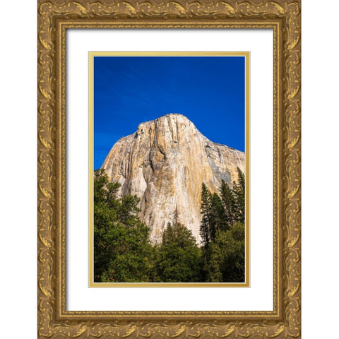 El Capitan-Yosemite Valley-Yosemite National Park-California-USA Gold Ornate Wood Framed Art Print with Double Matting by Bishop, Russ